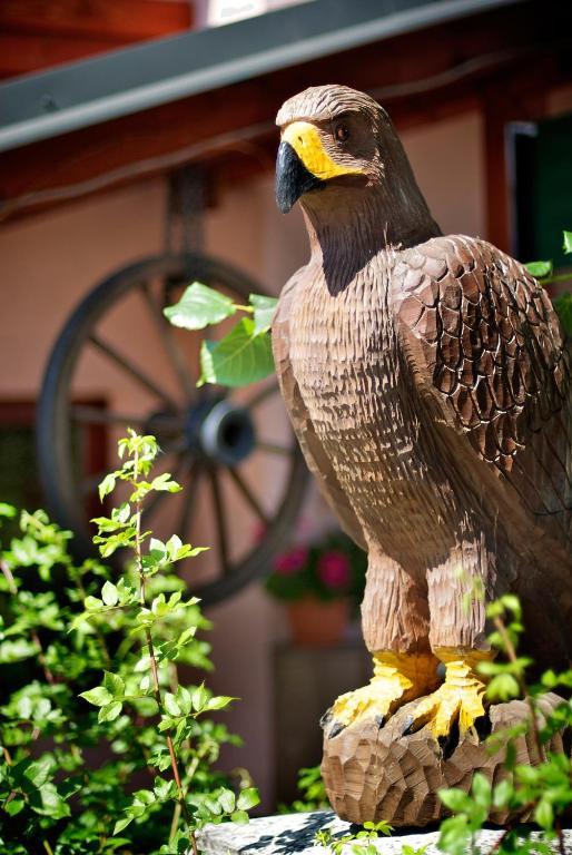 Penzion Plesnivec Poprad Zewnętrze zdjęcie